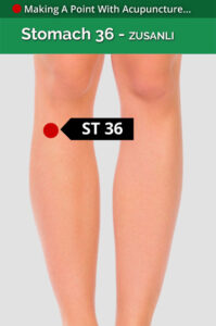 ST36 Diagram