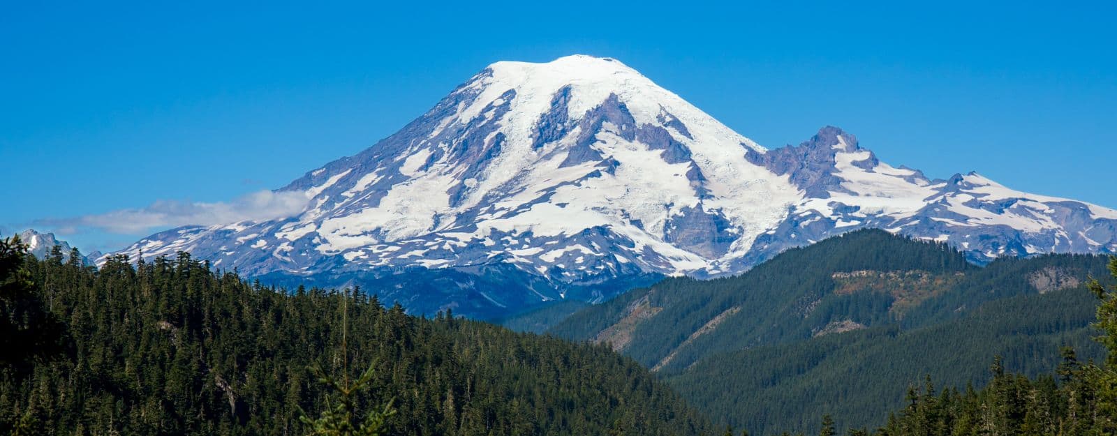 Chiropractor Washington