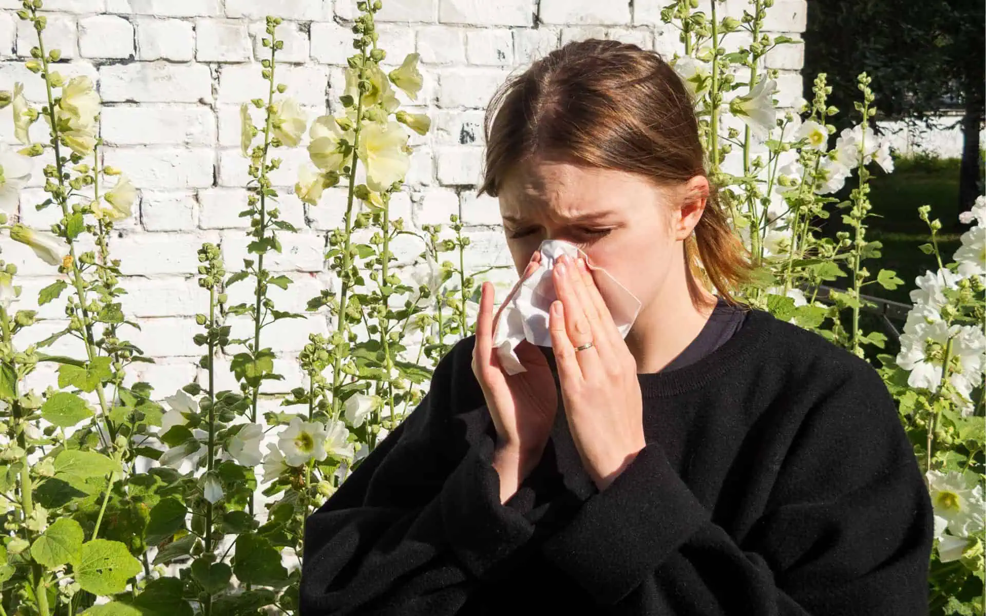 Seasonal Allergies